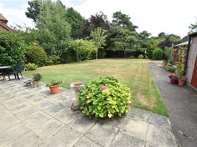 Picture 21